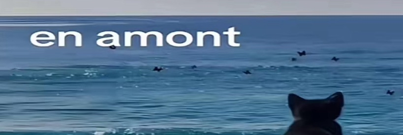 peurdoublier's banner