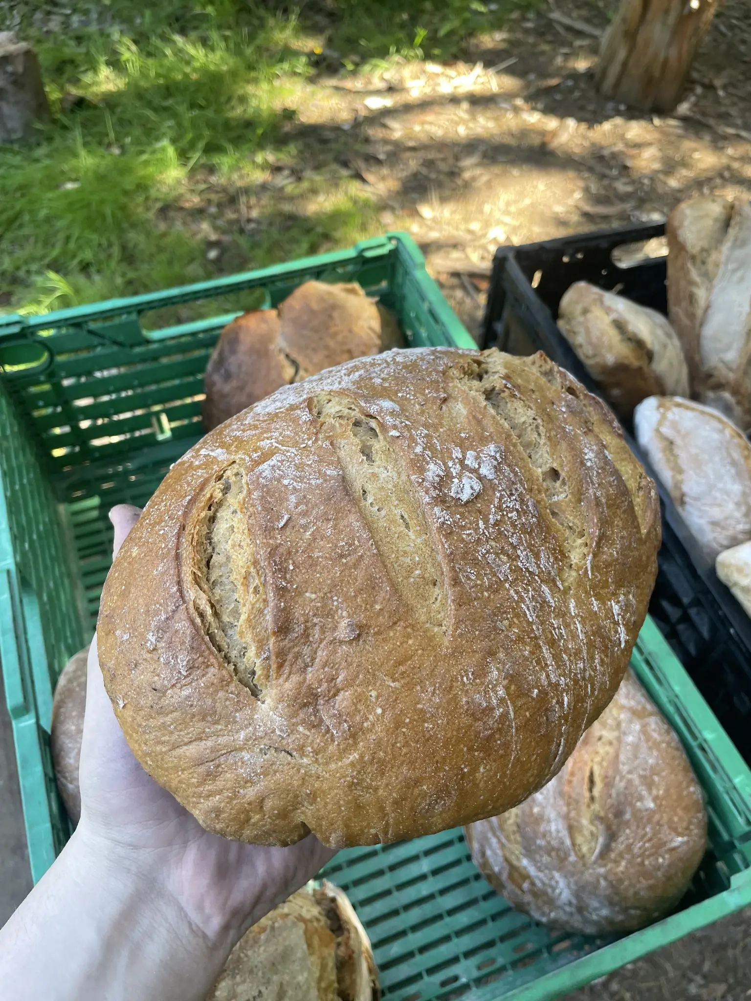 un très beau pain avec trois rainures dessus 